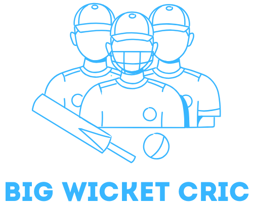 bigwicketcric.com